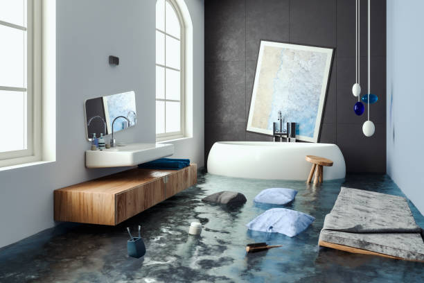 Professional Water damage restoration in IA