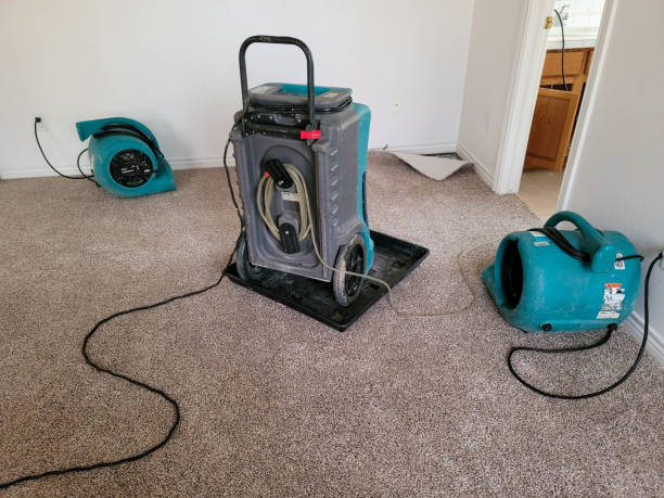 Best Water damage restoration near me  in Fairfield, IA