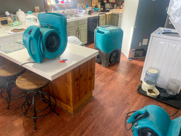 Best Local water damage restoration  in Fairfield, IA