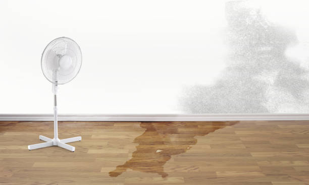Best Residential water damage restoration  in Fairfield, IA