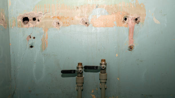 Best Mold removal after water damage  in Fairfield, IA