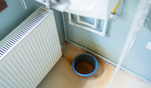 Best Professional water damage repair  in Fairfield, IA