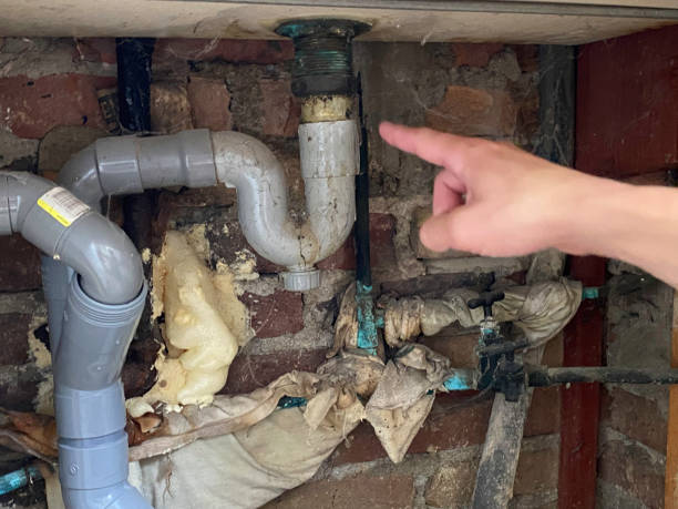 Best Water damage restoration services  in Fairfield, IA