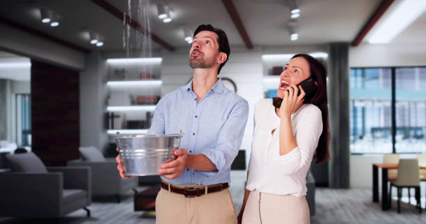 Best Mold removal after water damage  in Fairfield, IA
