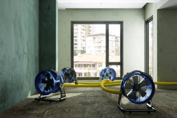 Best Water damage restoration near me  in Fairfield, IA